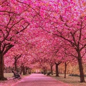 Meet your Posher, Carole